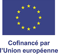 Logo FSE